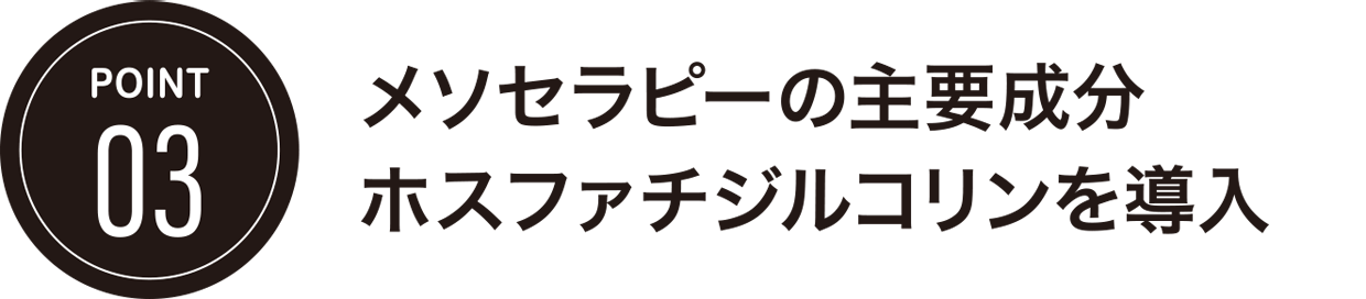 POINT03/メソセラピーの主要成分ホスファチジルコリンを導入