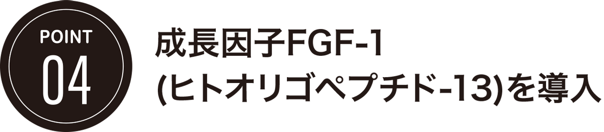 POINT04/成長因子FGF-1(ヒトオリゴペプチド-13)を導入