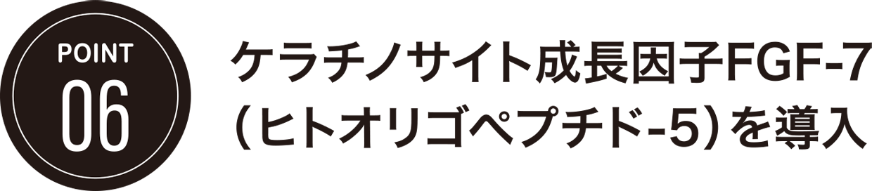 POINT06/ケラチノサイト成長因子FGF-7 (ヒトオリゴペプチド-5)を導入