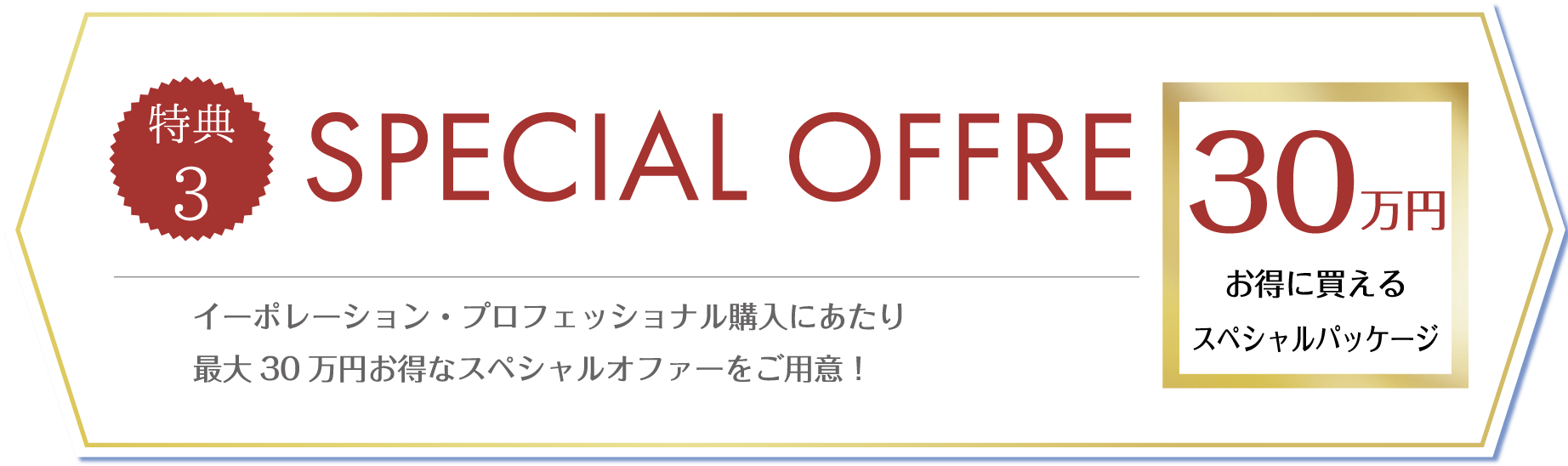特典3 SPECIAL OFFRE／イーポレーション・プロフェッショナル購入にあたり最大30万円お得なスペシャルオファーをご用意！